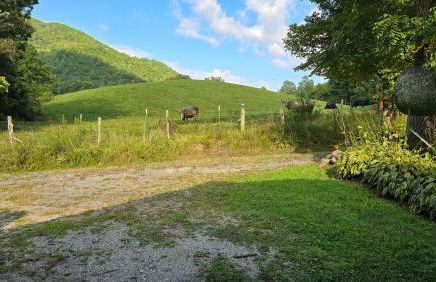 Yellow Creek Cabin - Foto 110