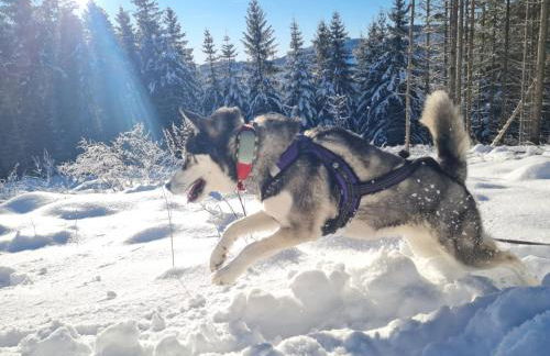 Ferienwohnungen Dorfliebe Dörnberg - Photo 73