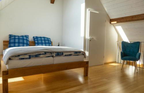 Schwarzwald Apartment City Studio - Foto 15