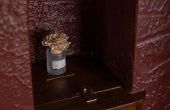 Bilbos Cottage 3 bed 2 and a half bath home in College Hill - Foto 71