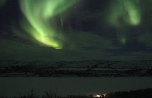 Karetörmä - Foto 2