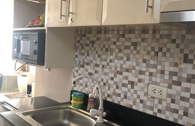 Palmtree Villas 1 -Favila Condotel Unit - Photo 8