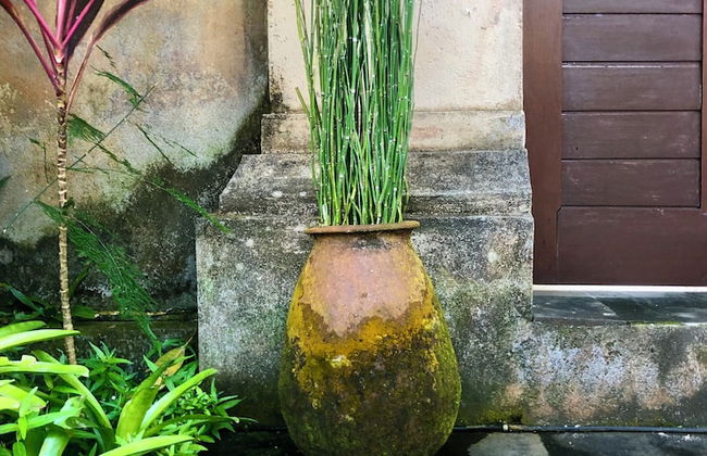 Dana's Place Private Villa - Photo 46