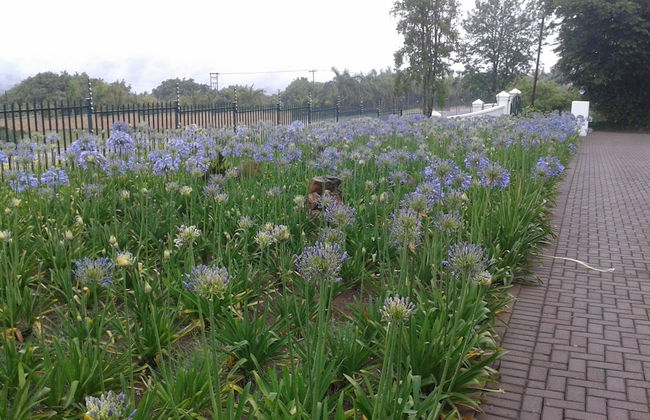 Sherwood's Country House - Foto 56