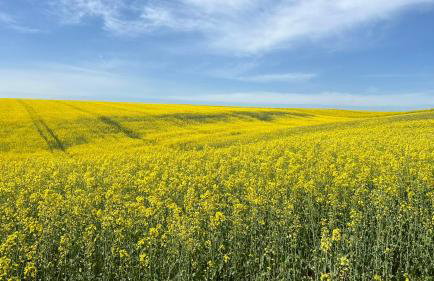 W Kręgu Natury - Foto 57