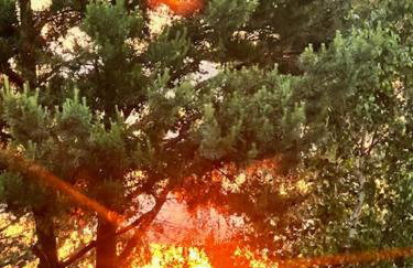 Przystanek Prawdowo - Foto 58