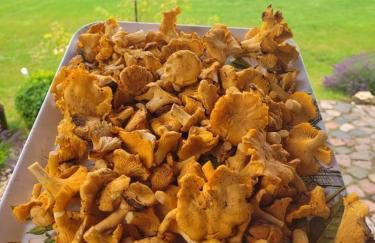 Domki nad stawem w Harszu - Foto 15