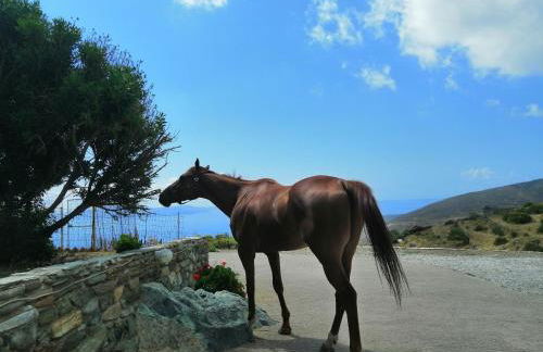 Balcony to the Aegean - Foto 38