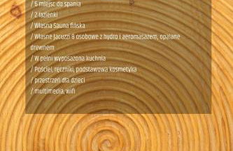 Henry Domki - prywatna sauna i jacuzzi - Foto 39