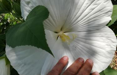 Cà Nostra B&B Home Restaurant - Photo 37