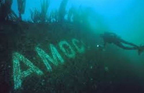 Gîte entre Mer et Abers - Foto 37