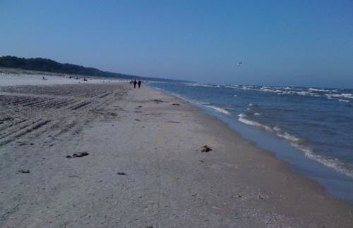 Reetdachhaus direkt am Meer für 6 Personen!! - Foto 26