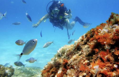 Casa Cala D'or - Foto 7