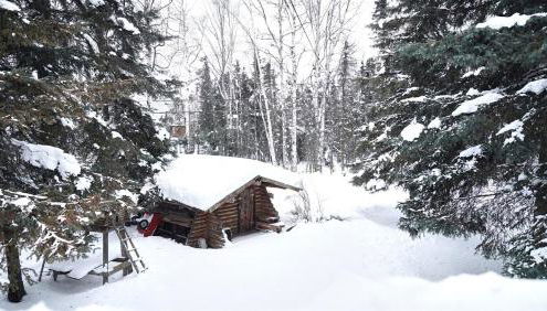 New-Game Room-Nearby Lake-Airport-Family-Bear Haus - Photo 2