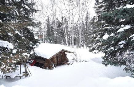 New-Game Room-Nearby Lake-Airport-Family-Bear Haus - Photo 2