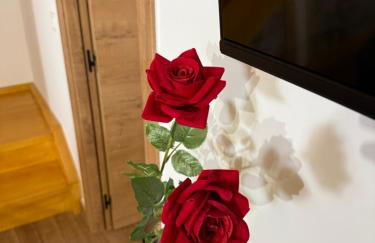 Casona el mirador de toporias - Photo 21