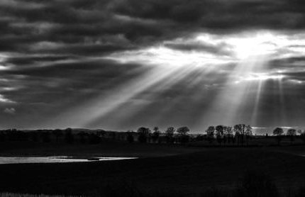 Siedlisko Przy Lesie Alpaka 3 - Foto 58