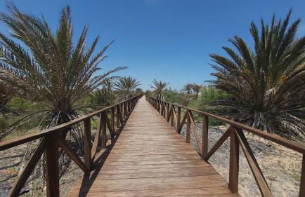 Villa La Marina - Foto 29