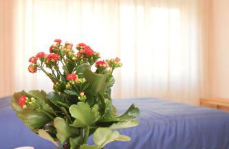 Maison Velia - Foto 37