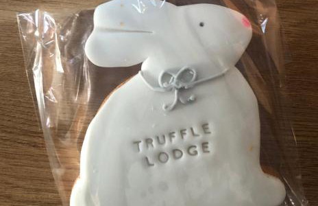 Truffle Lodge - Foto 8