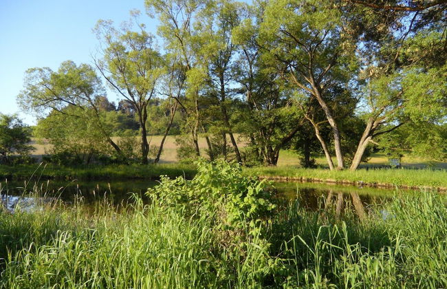 Dog-friendly Holiday Home in the Knull - Foto 13