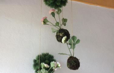 Quinta do Guerra - Foto 35