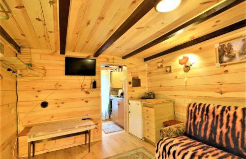 Domek PUSTELNIA do 5 osób - Foto 8