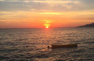 Villa Basthel direct aan zee ,verwarmd zwembad,sauna en garage - Photo 46