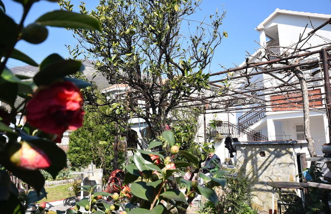 Malovic Apartments - Foto 23