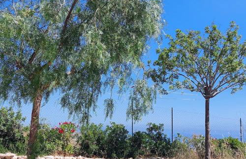 Casa Palombara - Healiday in Torre Salsa - Foto 75