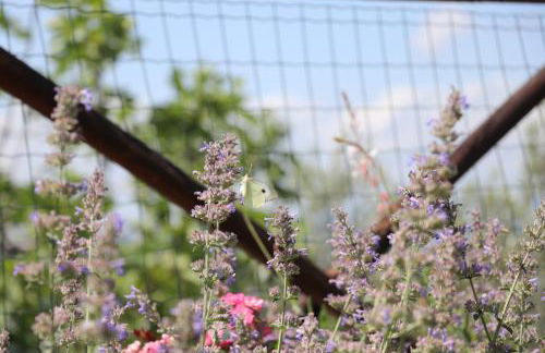 La Corte dei Banchetti - Foto 36