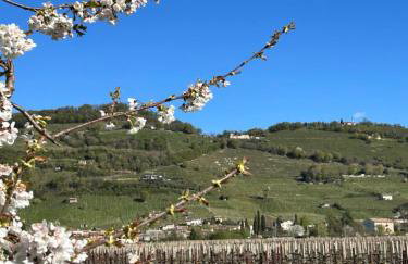 AlMi House - Colline del Prosecco - Foto 3