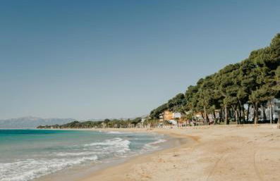 Apartamento frente al mar - Photo 19