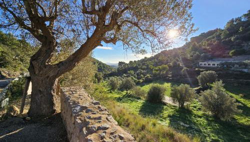 Agroturismo Finca Can Sec - Foto 2