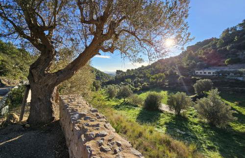 Agroturismo Finca Can Sec - Foto 2