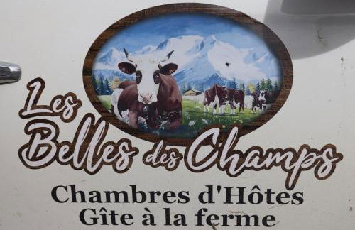 Petit Chalet Cosy - Photo 18