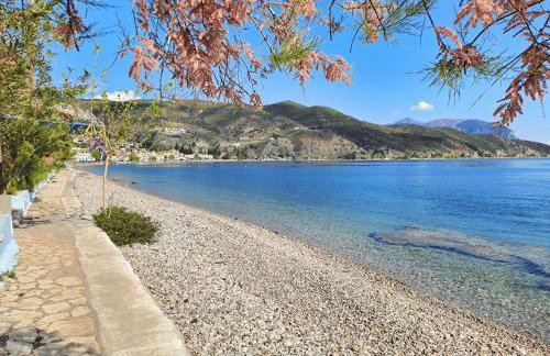 Villa Nikolas Limni - Photo 3