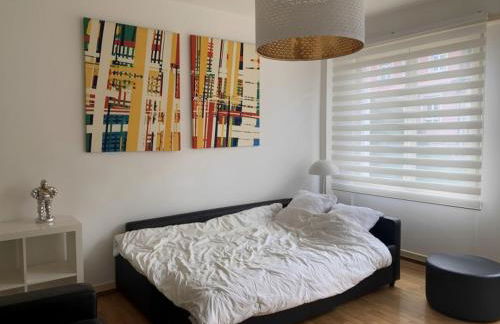 Appartement Hyper Centre Place Kléber 66 m2 - Photo 8