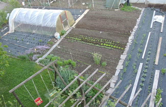 Agriturismo Bortolotti - Photo 74