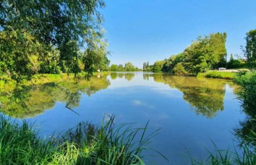 la maison Massonat - Foto 22