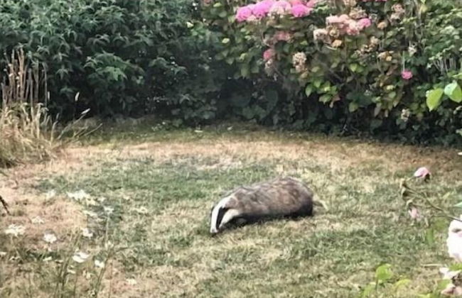 Mole Cottage - Foto 27