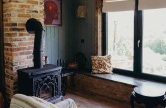 Mech i brzoza - Foto 37