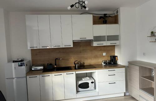 Apartament Luks - Foto 10