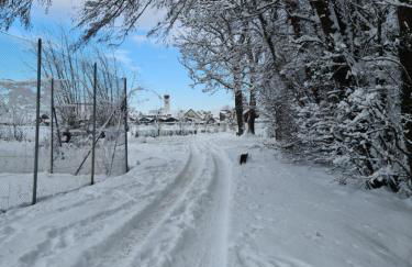 MF Manuele Ficano - Ferienwohnungen am Bodensee - Fewo Luna - Foto 25