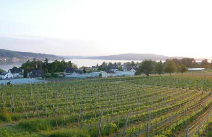 Haus Münsterblick - Foto 34