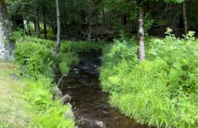 Cozy Creek House - Foto 41