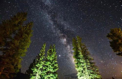 Million Dollar Castle Walk to downtown Glenwood and HotSprings - Foto 79