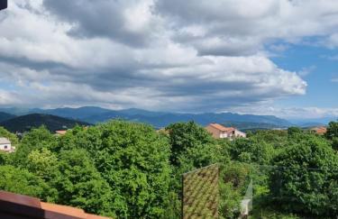 Eclectic suburbian oasis 7km from the beach - Foto 5