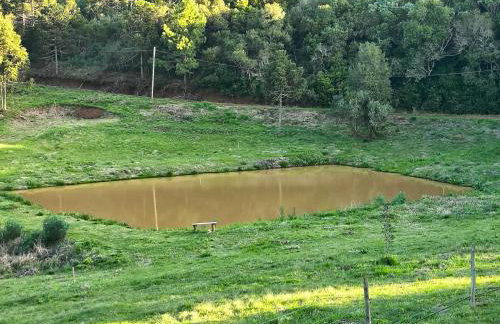 Casa de campo Aconchego Serrano - Photo 42