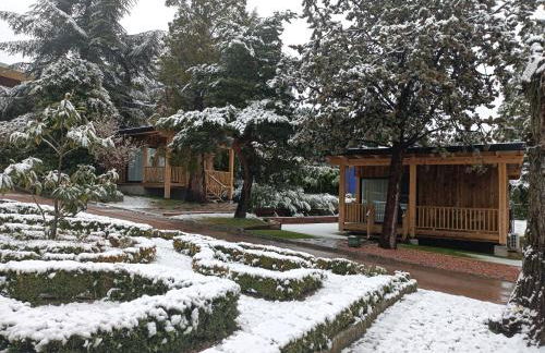 Jardín Las Secuoyas - Foto 61